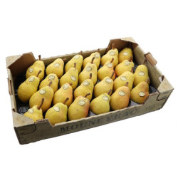 POIRE WILLIAMS VERTE MOUNEYRAC KG